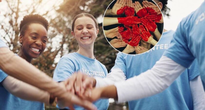 Volunteer Ideas in the Lisbon Area